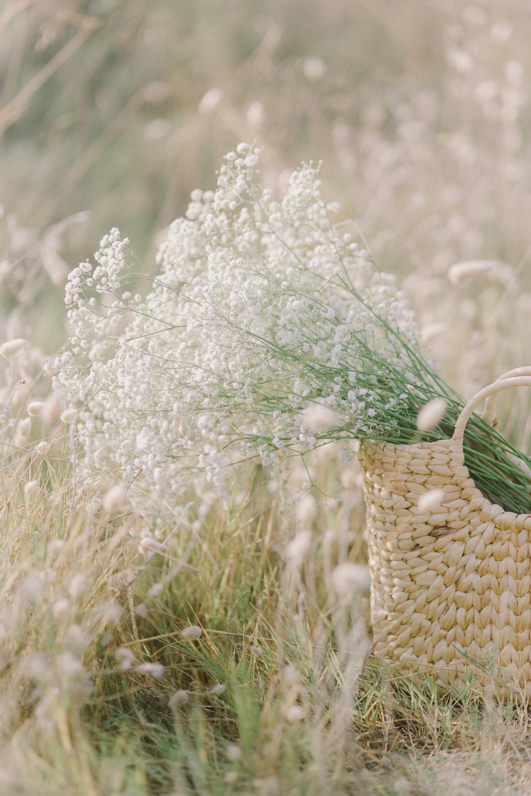 Idyllic summer field with white flowers in a woven basket, evoking tranquility.