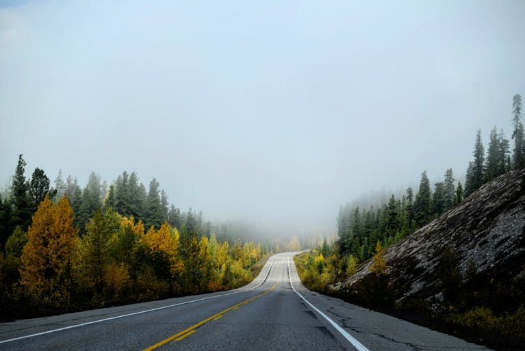 Misty highway cutting through autumn foliage with trees and mountains. Serene travel scene.